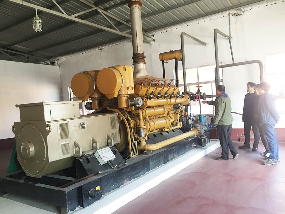 餐廚垃圾沼氣發(fā)電機(jī)組