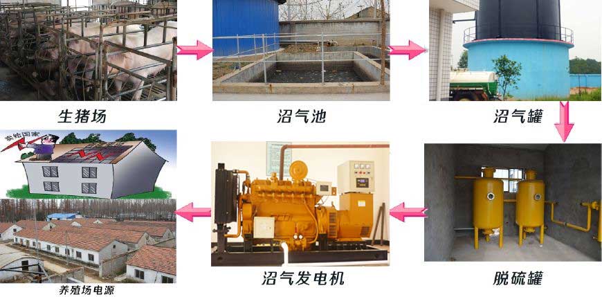 養(yǎng)豬場(chǎng)該選擇多大功率的沼氣發(fā)電機(jī)組