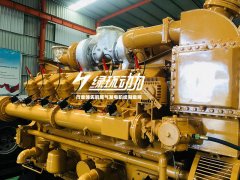 畜牧糞便沼氣發(fā)電機(jī)組